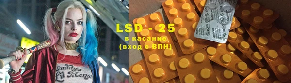 стафф Карпинск