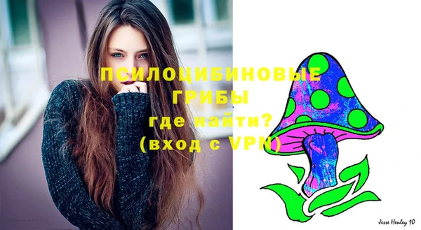 прущая мука Козловка