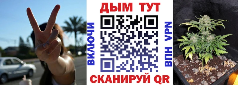 Конопля план  Купить где  Волосово 